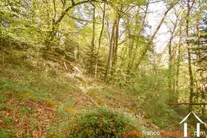Immobilien 1 hectare ++ zu verkaufen neuvic entier, limousin, 777 Bild - 36