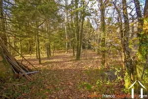Dorfshaus zu verkaufen linards, limousin, Li856 Bild - 56