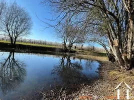 Haus zu verkaufen savignac ledrier, aquitaine, Li878 Bild - 23