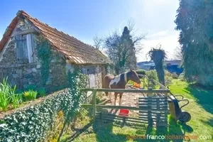 Haus mit Gästehaus zu verkaufen la porcherie, limousin, Li977 Bild - 39
