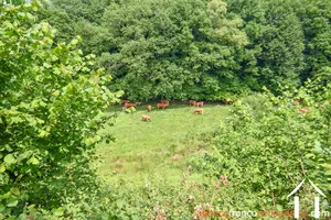 Haus zu verkaufen rempnat, limousin, Li996 Bild - 40