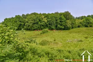 Haus zu verkaufen rempnat, limousin, Li996 Bild - 41