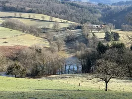 Scheunen und Ruinen zu verkaufen arronnes, auvergne, AP030071059 Bild - 17