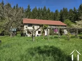 Haus zu verkaufen loddes, auvergne, AP030071088 Bild - 8