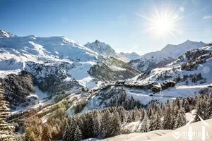 Chalet zu verkaufen meribel les allues, rhone-alpes, C4626-CH2 Bild - 6