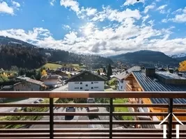 Wohnung zu verkaufen demi quartier, rhone-alpes, C4935 Bild - 14