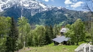 Grundstück zu verkaufen les houches, rhone-alpes, C5298-2 Bild - 4