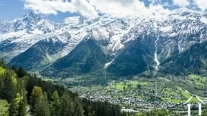 Grundstück zu verkaufen les houches, rhone-alpes, C5298-2 Bild - 6