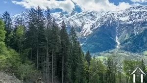 Grundstück zu verkaufen les houches, rhone-alpes, C5298-2 Bild - 5