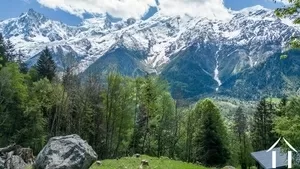 Grundstück zu verkaufen les houches, rhone-alpes, C5298-2 Bild - 2