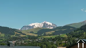 Haus zu verkaufen megeve, rhone-alpes, C5975 Bild - 18