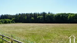 View on land 17.000m2