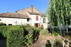 Garden and house