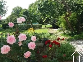 Colourful garden