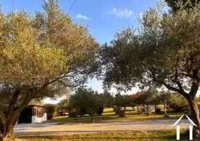 Haus mit Gästehaus zu verkaufen st nazaire de pezan, languedoc-roussillon, 11-2491 Bild - 10