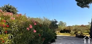 Haus mit Gästehaus zu verkaufen st nazaire de pezan, languedoc-roussillon, 11-2491 Bild - 13