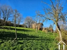 Gartenblick zur Folie