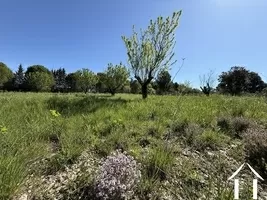 Haus zu verkaufen aumelas, languedoc-roussillon, 11-2514 Bild - 7