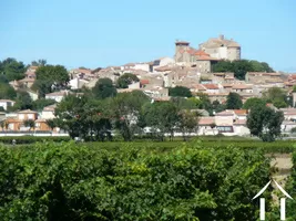 Haus zu verkaufen puissalicon, languedoc-roussillon, 11-2527 Bild - 7