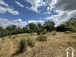 View landscape