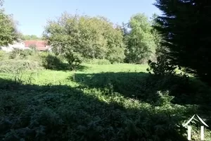 Garten hinten
