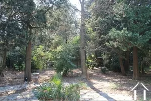 Maison de Maître zu verkaufen montpellier, languedoc-roussillon, ba021 Bild - 2