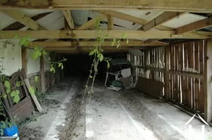 Immobilien 1 hectare ++ zu verkaufen thenon, aquitaine, GVS4241C Bild - 16
