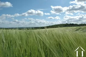Immobilien 1 hectare ++ zu verkaufen thenon, aquitaine, GVS4241C Bild - 18