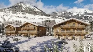 Neues Halbchalet mit Garten und Aussicht - praz-sur-arly Ref # C6380-C1 
