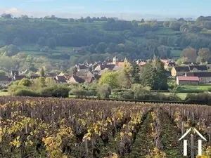 Dorfhaus mit Blick auf die Weinberge von Couchois Ref # PM5371D 