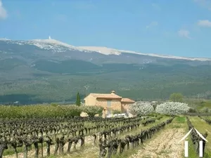 Propriété entourée des cérisiers , des vignes et des vues Ref # 11-2465 