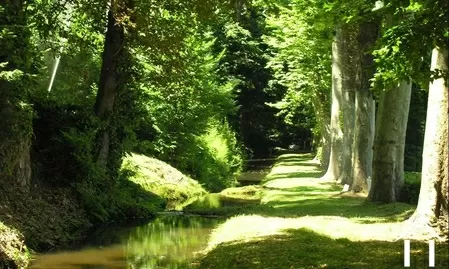 Schloss zu verkaufen mazamet, midi-pyrenees, 11-2214 Bild - 14