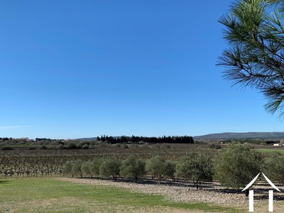 Immobilien 1 hectare ++ zu verkaufen fabregues, languedoc-roussillon, 11-2407 Bild - 2