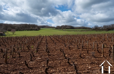 Charakterhaus zu verkaufen santenay, burgund, BH5154V Bild - 22