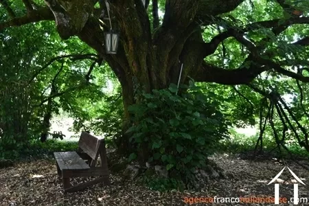 Haus mit Gästehaus zu verkaufen st saud lacoussiere, aquitaine, Li1002 Bild - 38