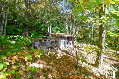 Haus zu verkaufen meuzac, limousin, Li1019 Bild - 41