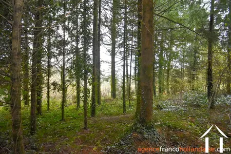 Haus zu verkaufen st amand jartoudeix, limousin, Li1024 Bild - 40