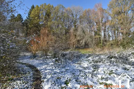 Haus mit Gästehaus zu verkaufen chateauneuf la foret, limousin, Li1025 Bild - 42