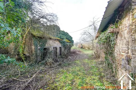 Haus mit Gästehaus zu verkaufen neuvic entier, limousin, Li1027 Bild - 84