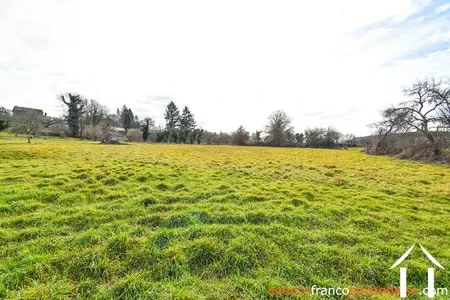 Haus mit Gästehaus zu verkaufen neuvic entier, limousin, Li1027 Bild - 81