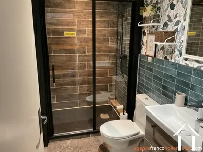 Haus mit Gästehaus zu verkaufen st mesmin, champagne-ardenne, Li1044 Bild - 30