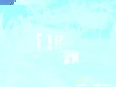 Haus mit Gästehaus zu verkaufen st mesmin, champagne-ardenne, Li1044 Bild - 42