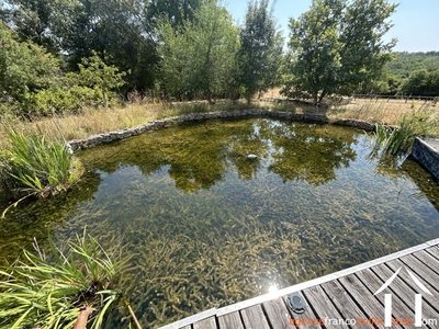 Haus mit Gästehaus zu verkaufen brouchaud, aquitaine, Li1068 Bild - 41