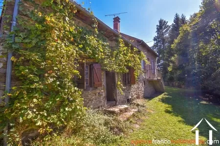 Haus mit Gästehaus zu verkaufen neuvic entier, limousin, Li849 Bild - 43