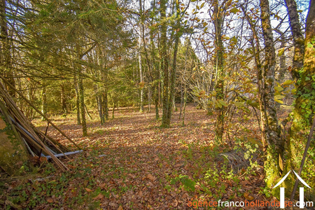 Dorfshaus zu verkaufen linards, limousin, Li856 Bild - 75