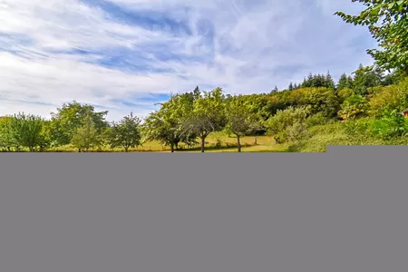 Immobilien 1 hectare ++ zu verkaufen la croisille sur briance, limousin, Li894 Bild - 50