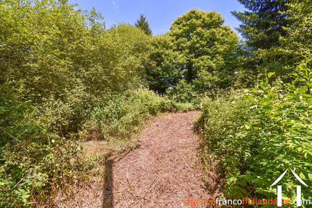 Haus zu verkaufen nedde, limousin, Li913 Bild - 39