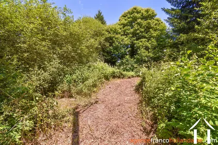 Haus zu verkaufen nedde, limousin, Li913 Bild - 39