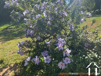 Haus zu verkaufen beyssenac, limousin, Li929 Bild - 51