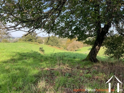 Haus zu verkaufen beyssenac, limousin, Li929 Bild - 66